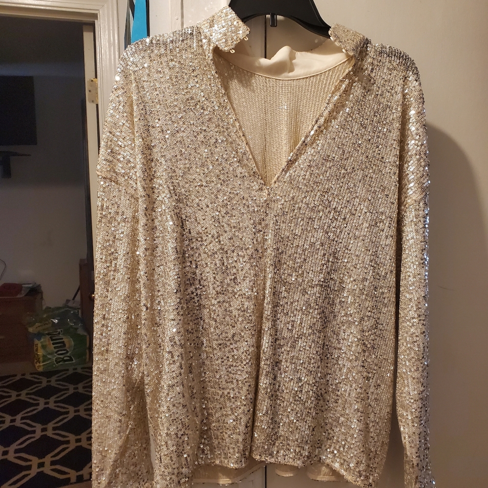 Sequin Blouse
